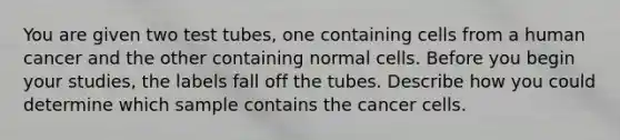 You are given two test tubes, one containing cells from a human cancer and the other containing normal cells. Before you begin your studies, the labels fall off the tubes. Describe how you could determine which sample contains the cancer cells.