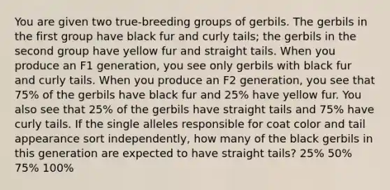 You are given two true‑breeding groups of gerbils. The gerbils in the first group have black fur and curly tails; the gerbils in the second group have yellow fur and straight tails. When you produce an F1 generation, you see only gerbils with black fur and curly tails. When you produce an F2 generation, you see that 75% of the gerbils have black fur and 25% have yellow fur. You also see that 25% of the gerbils have straight tails and 75% have curly tails. If the single alleles responsible for coat color and tail appearance sort independently, how many of the black gerbils in this generation are expected to have straight tails? 25% 50% 75% 100%