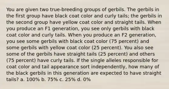 You are given two true-breeding groups of gerbils. The gerbils in the first group have black coat color and curly tails; the gerbils in the second group have yellow coat color and straight tails. When you produce an F1 generation, you see only gerbils with black coat color and curly tails. When you produce an F2 generation, you see some gerbils with black coat color (75 percent) and some gerbils with yellow coat color (25 percent). You also see some of the gerbils have straight tails (25 percent) and others (75 percent) have curly tails. If the single alleles responsible for coat color and tail appearance sort independently, how many of the black gerbils in this generation are expected to have straight tails? a. 100% b. 75% c. 25% d. 0%