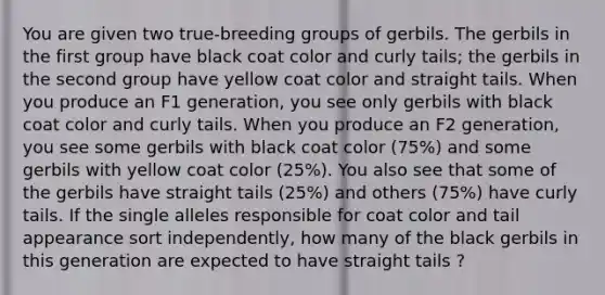 You are given two true-breeding groups of gerbils. The gerbils in the first group have black coat color and curly tails; the gerbils in the second group have yellow coat color and straight tails. When you produce an F1 generation, you see only gerbils with black coat color and curly tails. When you produce an F2 generation, you see some gerbils with black coat color (75%) and some gerbils with yellow coat color (25%). You also see that some of the gerbils have straight tails (25%) and others (75%) have curly tails. If the single alleles responsible for coat color and tail appearance sort independently, how many of the black gerbils in this generation are expected to have straight tails ?