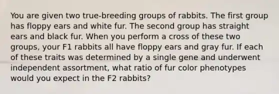 You are given two true-breeding groups of rabbits. The first group has floppy ears and white fur. The second group has straight ears and black fur. When you perform a cross of these two groups, your F1 rabbits all have floppy ears and gray fur. If each of these traits was determined by a single gene and underwent independent assortment, what ratio of fur color phenotypes would you expect in the F2 rabbits?