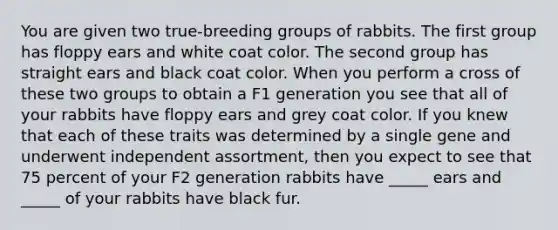 You are given two true-breeding groups of rabbits. The first group has floppy ears and white coat color. The second group has straight ears and black coat color. When you perform a cross of these two groups to obtain a F1 generation you see that all of your rabbits have floppy ears and grey coat color. If you knew that each of these traits was determined by a single gene and underwent independent assortment, then you expect to see that 75 percent of your F2 generation rabbits have _____ ears and _____ of your rabbits have black fur.