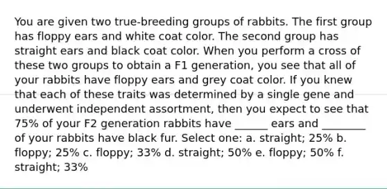 You are given two true-breeding groups of rabbits. The first group has floppy ears and white coat color. The second group has straight ears and black coat color. When you perform a cross of these two groups to obtain a F1 generation, you see that all of your rabbits have floppy ears and grey coat color. If you knew that each of these traits was determined by a single gene and underwent independent assortment, then you expect to see that 75% of your F2 generation rabbits have ______ ears and ________ of your rabbits have black fur. Select one: a. straight; 25% b. floppy; 25% c. floppy; 33% d. straight; 50% e. floppy; 50% f. straight; 33%