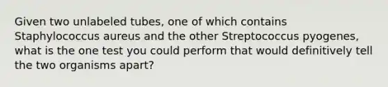 Given two unlabeled tubes, one of which contains Staphylococcus aureus and the other Streptococcus pyogenes, what is the one test you could perform that would definitively tell the two organisms apart?