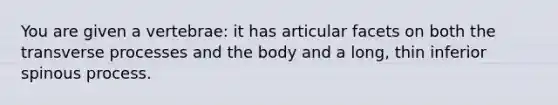 You are given a vertebrae: it has articular facets on both the transverse processes and the body and a long, thin inferior spinous process.