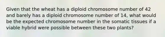 Given that the wheat has a diploid chromosome number of 42 and barely has a diploid chromosome number of 14, what would be the expected chromosome number in the somatic tissues if a viable hybrid were possible between these two plants?