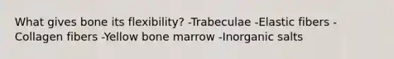 What gives bone its flexibility? -Trabeculae -Elastic fibers -Collagen fibers -Yellow bone marrow -Inorganic salts