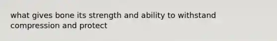 what gives bone its strength and ability to withstand compression and protect