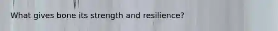 What gives bone its strength and resilience?