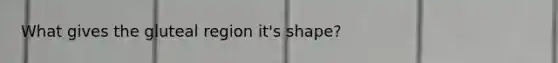 What gives the gluteal region it's shape?