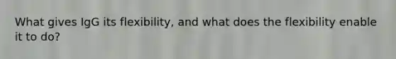 What gives IgG its flexibility, and what does the flexibility enable it to do?