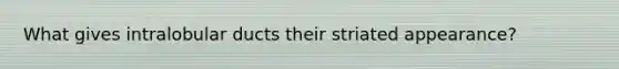 What gives intralobular ducts their striated appearance?