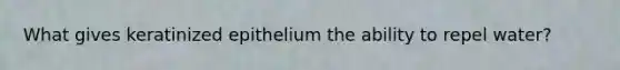 What gives keratinized epithelium the ability to repel water?