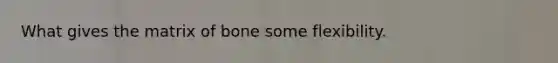 What gives the matrix of bone some flexibility.
