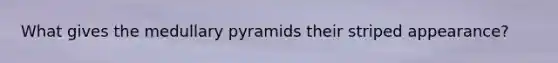 What gives the medullary pyramids their striped appearance?