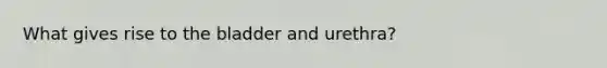 What gives rise to the bladder and urethra?