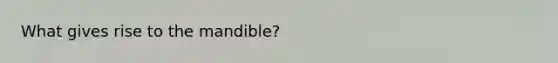 What gives rise to the mandible?