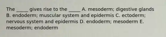 The _____ gives rise to the _____ A. mesoderm; digestive glands B. endoderm; muscular system and epidermis C. ectoderm; nervous system and epidermis D. endoderm; mesoderm E. mesoderm; endoderm