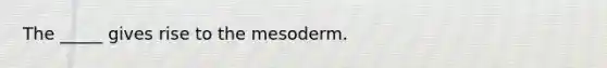 The _____ gives rise to the mesoderm.