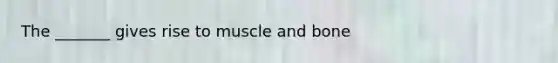 The _______ gives rise to muscle and bone