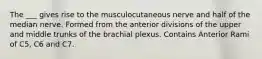 The ___ gives rise to the musculocutaneous nerve and half of the median nerve. Formed from the anterior divisions of the upper and middle trunks of the brachial plexus. Contains Anterior Rami of C5, C6 and C7.