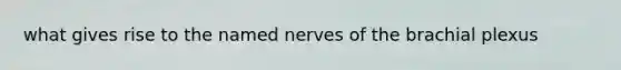 what gives rise to the named nerves of the brachial plexus