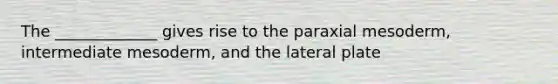 The _____________ gives rise to the paraxial mesoderm, intermediate mesoderm, and the lateral plate