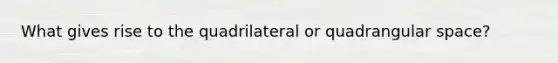 What gives rise to the quadrilateral or quadrangular space?