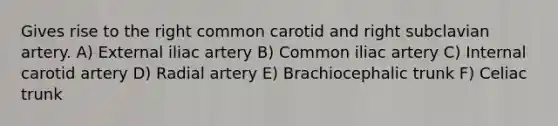 Gives rise to the right common carotid and right subclavian artery. A) External iliac artery B) Common iliac artery C) Internal carotid artery D) Radial artery E) Brachiocephalic trunk F) Celiac trunk