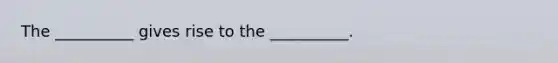 The __________ gives rise to the __________.