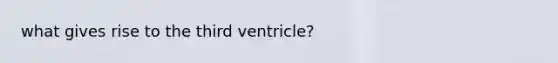 what gives rise to the third ventricle?