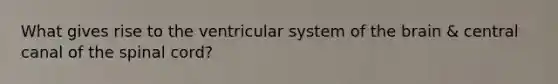 What gives rise to the ventricular system of the brain & central canal of the spinal cord?