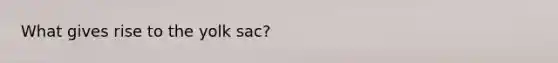 What gives rise to the yolk sac?