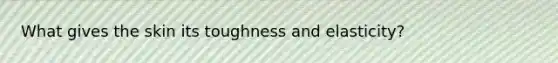 What gives the skin its toughness and elasticity?