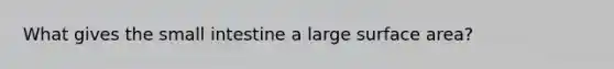 What gives the small intestine a large surface area?