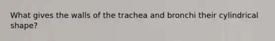 What gives the walls of the trachea and bronchi their cylindrical shape?