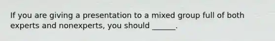 If you are giving a presentation to a mixed group full of both experts and nonexperts, you should ______.