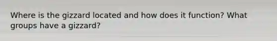 Where is the gizzard located and how does it function? What groups have a gizzard?