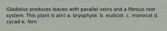 Gladiolus produces leaves with parallel veins and a fibrous root system. This plant is a(n) a. bryophyte. b. eudicot. c. monocot d. cycad e. fern
