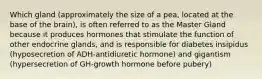 Which gland (approximately the size of a pea, located at the base of the brain), is often referred to as the Master Gland because it produces hormones that stimulate the function of other endocrine glands, and is responsible for diabetes insipidus (hyposecretion of ADH-antidiuretic hormone) and gigantism (hypersecretion of GH-growth hormone before pubery)