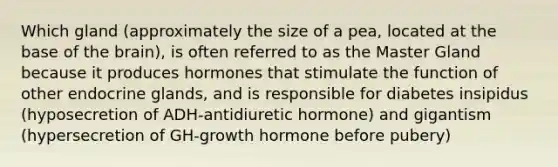 Which gland (approximately the size of a pea, located at the base of the brain), is often referred to as the Master Gland because it produces hormones that stimulate the function of other endocrine glands, and is responsible for diabetes insipidus (hyposecretion of ADH-antidiuretic hormone) and gigantism (hypersecretion of GH-growth hormone before pubery)