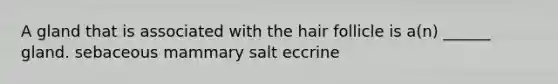 A gland that is associated with the hair follicle is a(n) ______ gland. sebaceous mammary salt eccrine