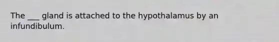 The ___ gland is attached to the hypothalamus by an infundibulum.