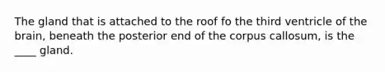 The gland that is attached to the roof fo the third ventricle of the brain, beneath the posterior end of the corpus callosum, is the ____ gland.