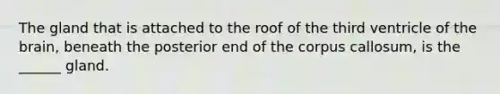 The gland that is attached to the roof of the third ventricle of the brain, beneath the posterior end of the corpus callosum, is the ______ gland.