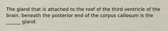 The gland that is attached to the roof of the third ventricle of the brain, beneath the posterior end of the corpus callosum is the ______ gland.