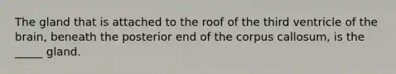 The gland that is attached to the roof of the third ventricle of the brain, beneath the posterior end of the corpus callosum, is the _____ gland.