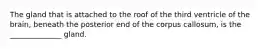 The gland that is attached to the roof of the third ventricle of the brain, beneath the posterior end of the corpus callosum, is the ______________ gland.