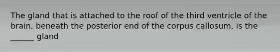 The gland that is attached to the roof of the third ventricle of <a href='https://www.questionai.com/knowledge/kLMtJeqKp6-the-brain' class='anchor-knowledge'>the brain</a>, beneath the posterior end of the corpus callosum, is the ______ gland