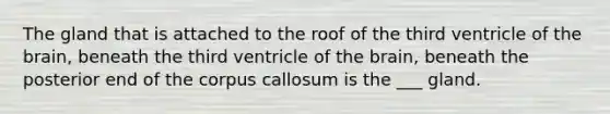 The gland that is attached to the roof of the third ventricle of the brain, beneath the third ventricle of the brain, beneath the posterior end of the corpus callosum is the ___ gland.